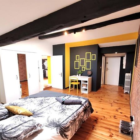 La Terrasse De Jeanne - Vue Magnifique - Netflix Apartamento Toulouse Exterior foto