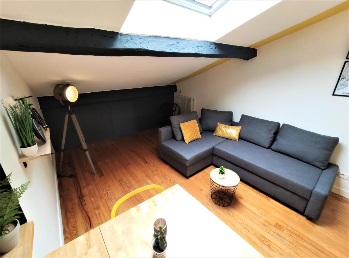 La Terrasse De Jeanne - Vue Magnifique - Netflix Apartamento Toulouse Exterior foto