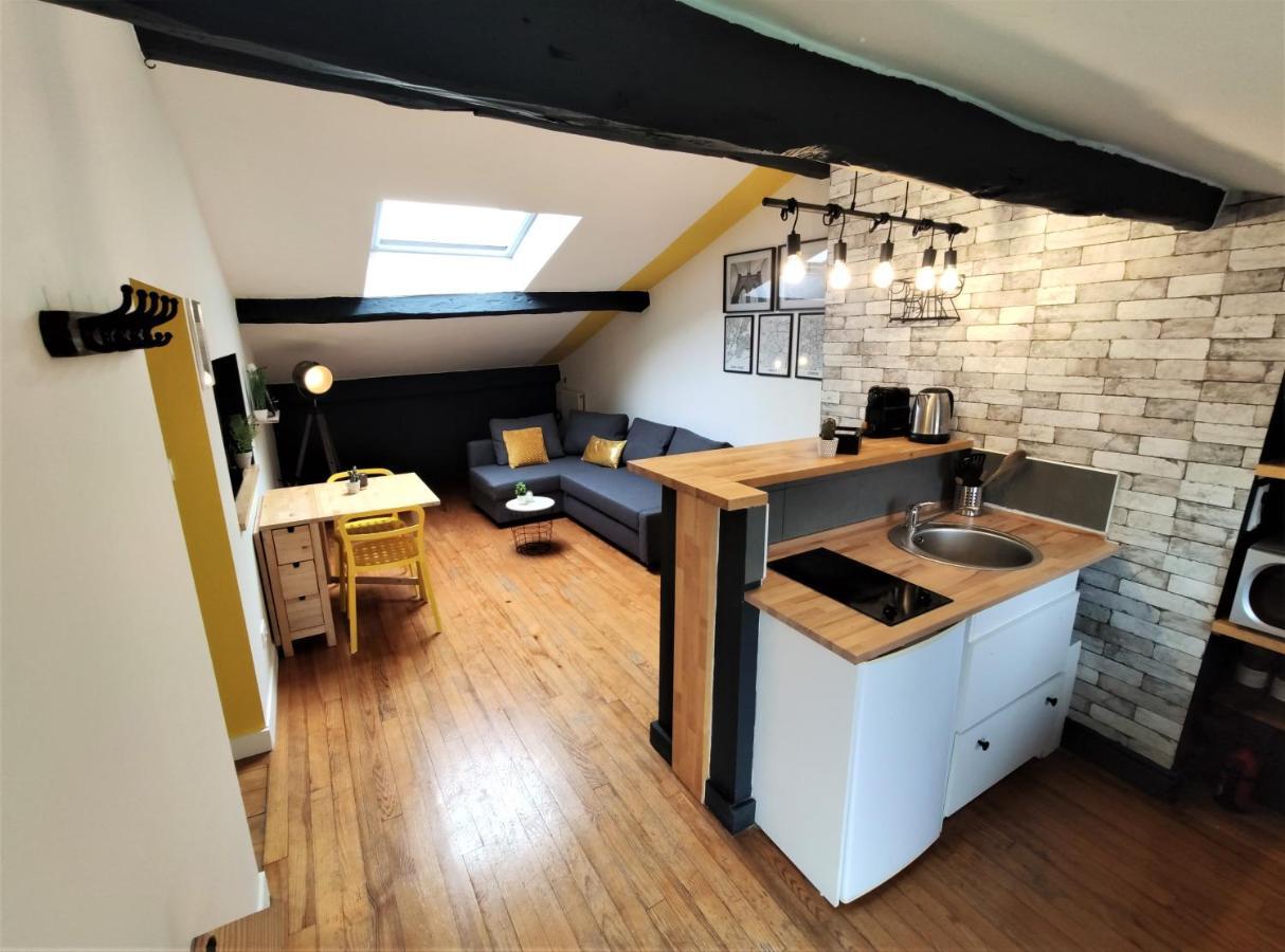 La Terrasse De Jeanne - Vue Magnifique - Netflix Apartamento Toulouse Exterior foto